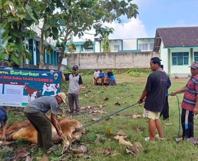 MIN 3 Bantul Gelar Pemotongan Hewan Kurban: Implementasi Pembelajaran Kontekstual Karakter Profil Pelajar Pancasila