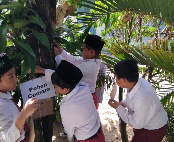 MIN 3 BANTUL KENALKAN KELESTARIAN ALAM SEJAK DINI LEWAT KEGIATAN KOKURIKULER KBC