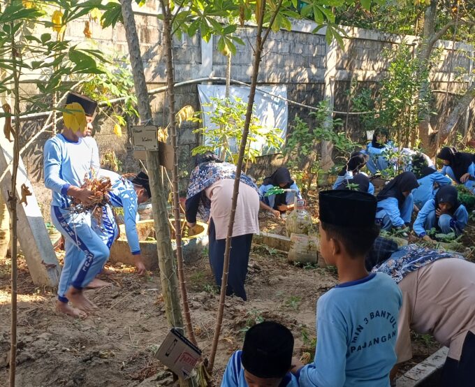 Semangat Baru Pasca Libur, MIN 3 Bantul Gelar Kerja Bakti Benahi Kebun NGTS