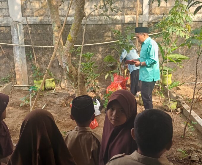 MIN 3 Bantul Perkuat Karakter Peduli Lingkungan Lewat Aksi Penanaman Bibit di Kebun Madrasah