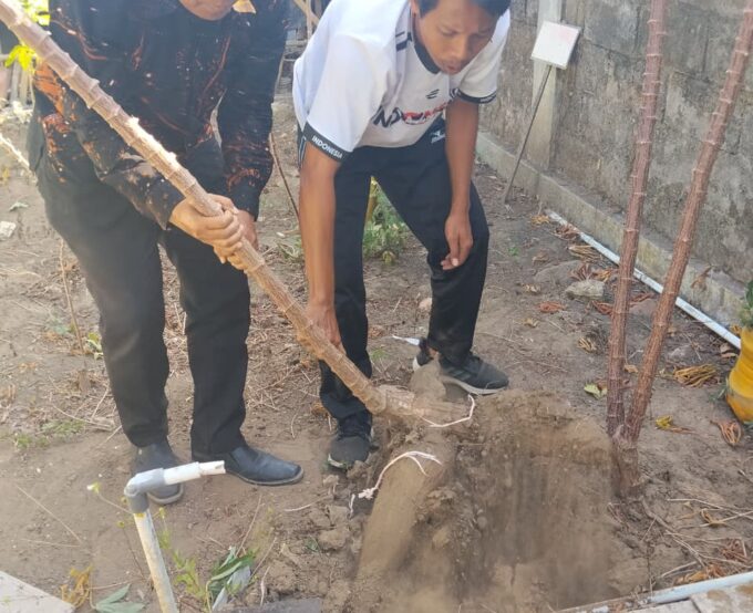 Wujudkan Ketahanan Pangan Sekolah, Guru MIN 3 Bantul Panen Ketela di Kebun NGTS